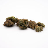 Super Sonic THCa Flower Wholesale - 1/2lb - Plants